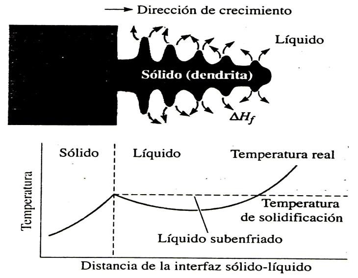 Solidificación