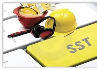 Salud y Seguridad en el Trabajo M.S.M Mónica Delgado López  AD25