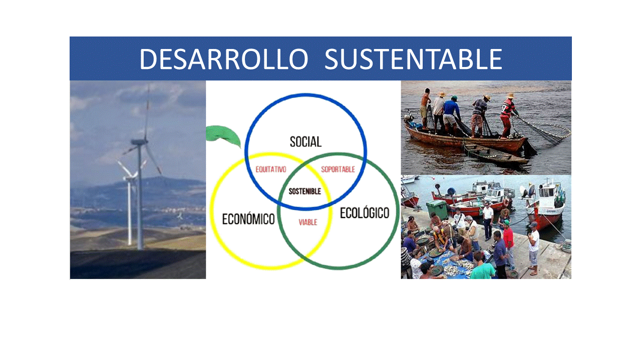 Desarrollo Sustentable (Daniel Mercado R)