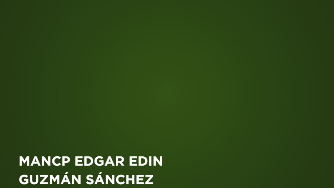 INGENIERIA ECONOMICA (EDIN GUZMAN)