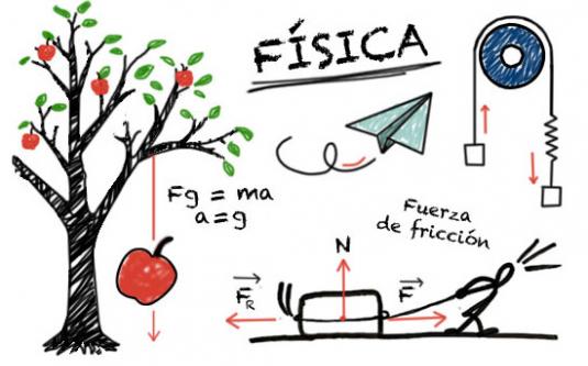 Fundamentos de física (Ricardo Carbajal) EJ25 