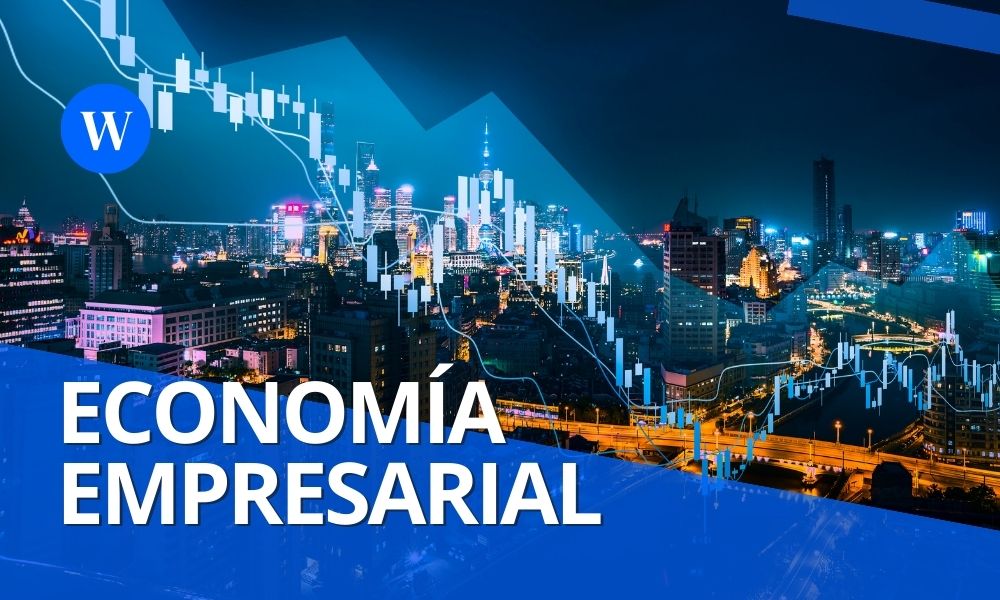 Economía Empresarial (Artemio Ramírez-López) EJ25