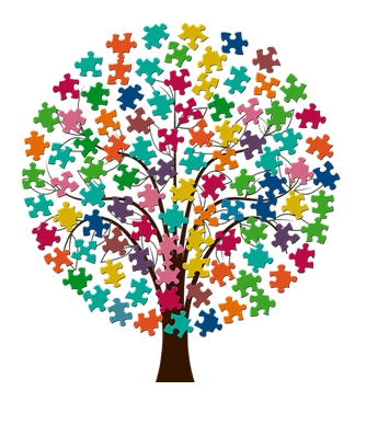 (CIEI)-CENTRO DE INVESTIGACIÓN EN EDUCACIÓN INCLUSIVA