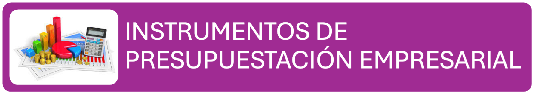 INSTRUMENTOS DE PRESUPUESTACIÓN EMPRESARIAL ( Alma Ortiz )AD25
